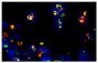 Frozen thermally burned mouse tissue section was stained with Rat Anti-Mouse CD11b-FITC (SB Cat. No. 1560-02) and Rat Anti-Mouse Ly-6G/Ly-6C-PE (SB Cat. No. 1900-09) followed by mounting with DAPI containing medium.<br/>Image from Everett J, Turner K, Cai Q, Gordon V, Whiteley M, Rumbaugh K. Arginine is a critical substrate for the pathogenesis of <i>Pseudomonas aeruginosa</i> in burn wound infections. MBio. 2017;8:e02160-16. Figure S1<br/>Reproduced under the Creative Commons license https://creativecommons.org/licenses/by/4.0/