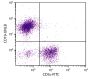 BALB/c mouse splenocytes were stained with Rat Anti-Mouse CD19-UNLB (SB Cat. No. 1575-01) and Rat Anti-Mouse CD3ε-FITC (SB Cat. No. 1535-02) followed by Mouse Anti-Rat IgG<sub>2a</sub>-PE (SB Cat. No. 3065-09).

