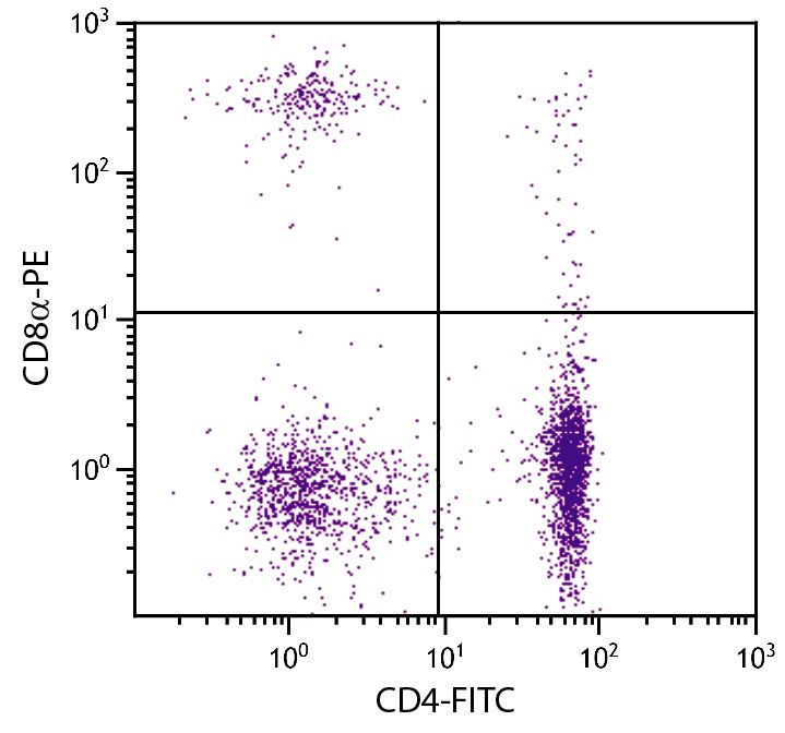 PE Anti-Chicken CD8a, CT-8 | SouthernBiotech
