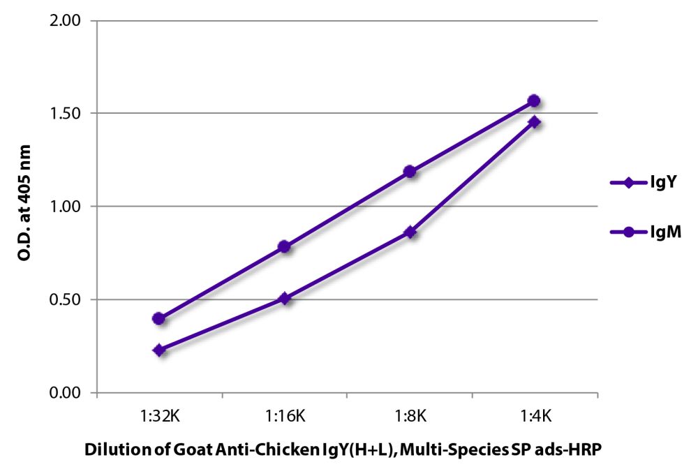 HRP Goat Anti-Chicken IgY(H+L), Highly Cross Adsorbed | SouthernBiotech