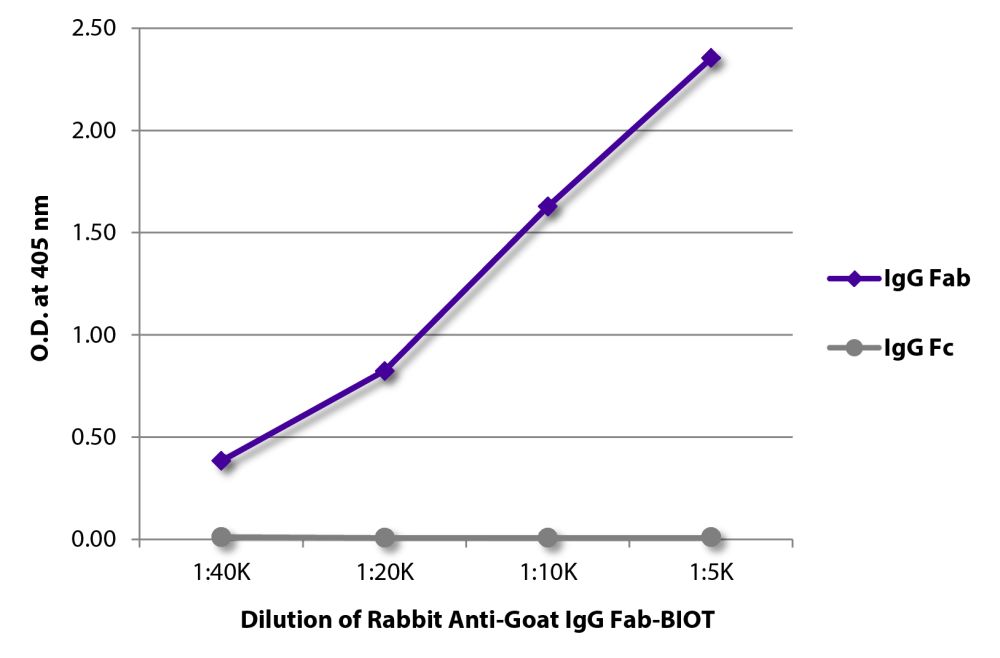 Biotin Rabbit Anti-Goat IgG Fab | SouthernBiotech