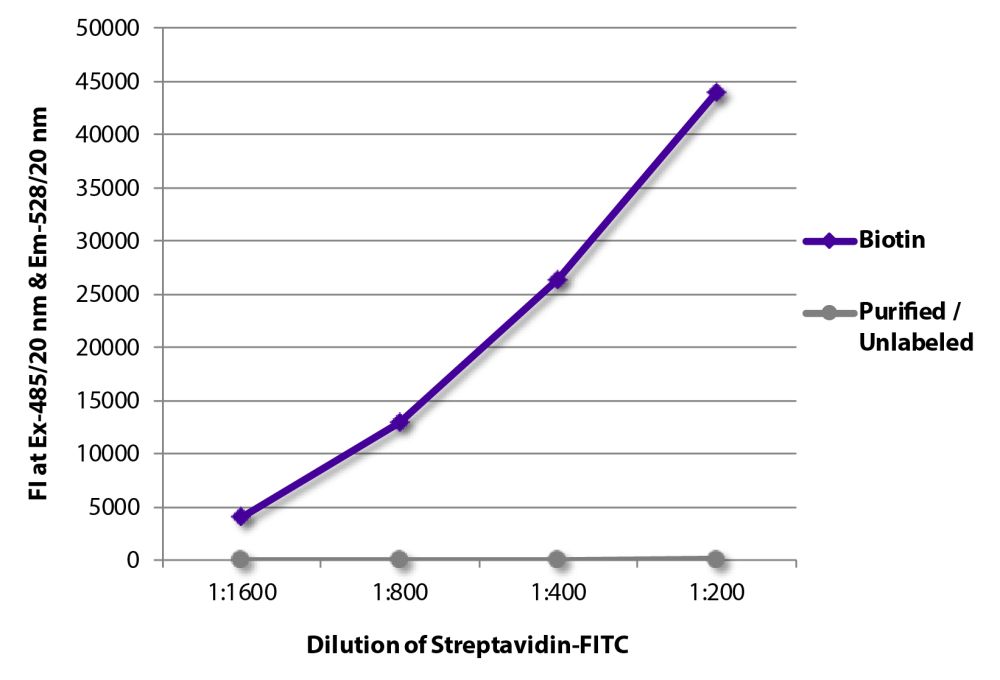 FITC Streptavidin SouthernBiotech