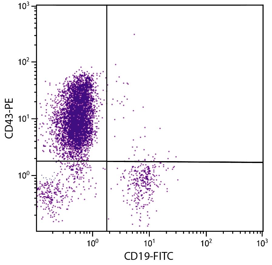 PE Anti-Human CD43, DF-T1 | SouthernBiotech