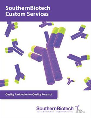 Custom-Services-Brochure-Page-1-00