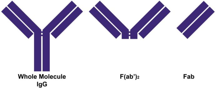image 2@2x image 2@2x