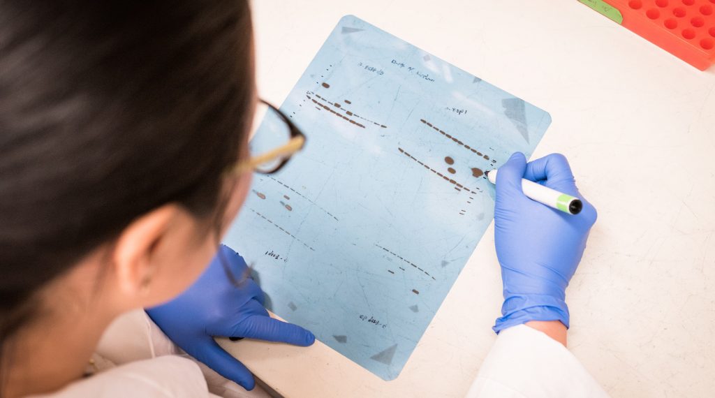 analyzing gel results