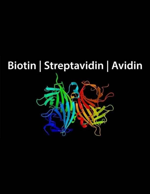 Biotin