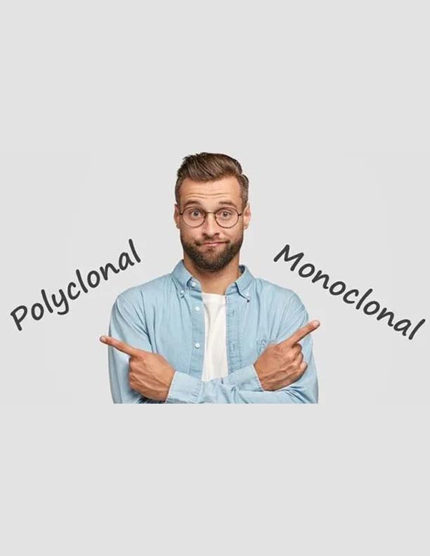 Polyclonal-Resources