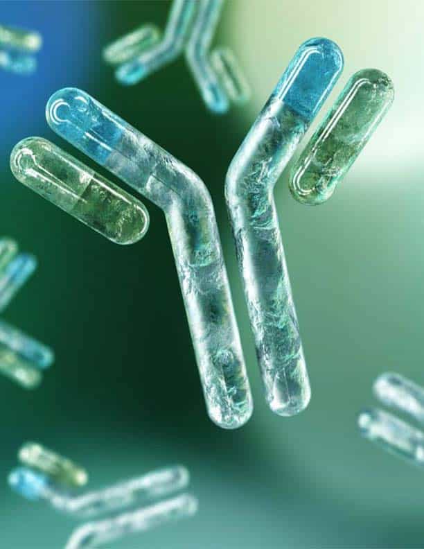 Antibody-guide